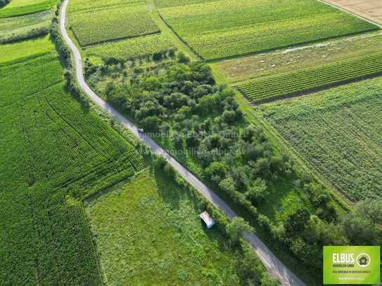 Grundstück Wiese Fläche mit Obstbäumen zu Verkaufen