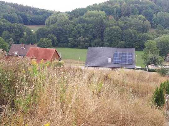 Nur ca. 15Km Entfernung von Bayreuth! Voll erschlossenes Baugrundstück mit Blick ins Grüne