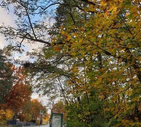 Provisionsfrei - Bauland in Klosterfelde - Flurstück 505 / Berliner Chaussee Ecke Paradiesweg!