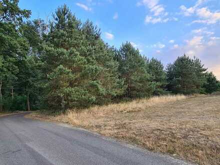 Bauerwartungsland in Kamenz, OT Cunnersdorf