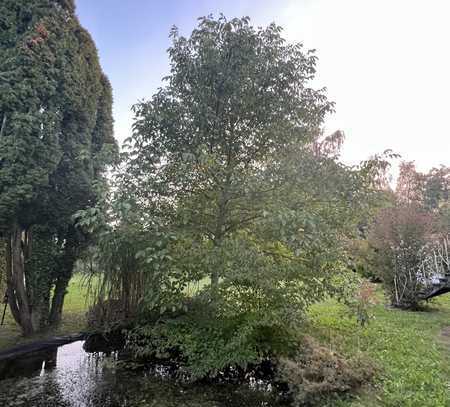 Baugrundstück in Buchloe Osten