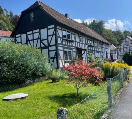 Viel Platz für die ganze Familie! Fachwerkhaus mit Nebengebäuden! Frei!