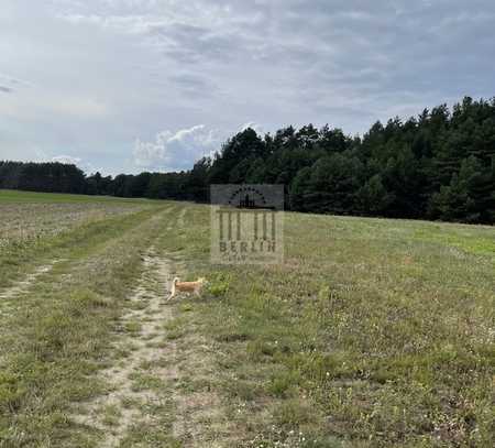 Riesiges Grundstück für Ihren Traum