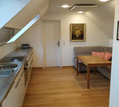 Vollständig renovierte 2-Zimmer-Maisonette-Wohnung in Jena