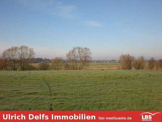 1,1 ha Wiesenland in Breiholz