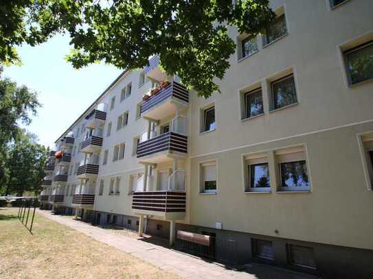 2-Raumwohnung in Stadtfeld-West