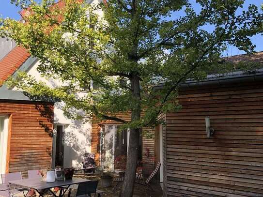 Ginkgo mit Haus in München sucht Familie