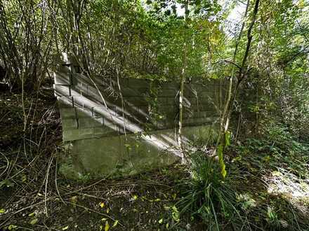 Schönes Waldgrundstück in Remagen Oberwinter, mit Rheinblick