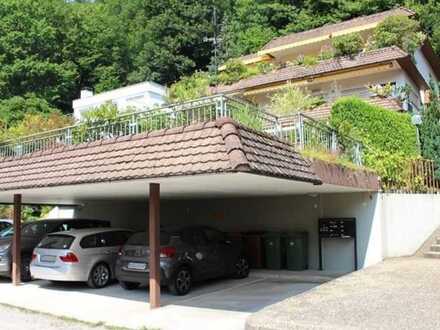 Renovierte Wohnung mit Weitblick