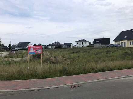 Einfamilienhaus in beliebter Lage in Sanitz
