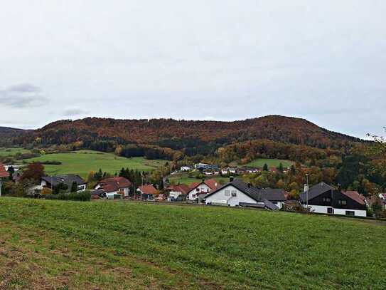 **Mit schöner Aussicht** Baugrundstück mit vielfältigen Bebauungsmöglichkeiten