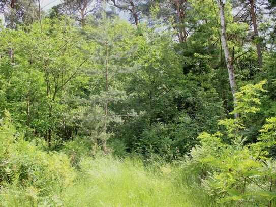 Ein Paradies in Seenähe für Naturliebhaber und Ruhesuchende