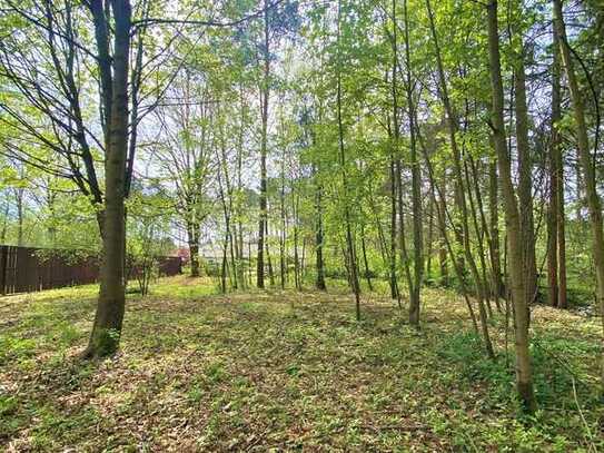 Baugrundstück für Ihr Traumhaus in Fichtenwalde