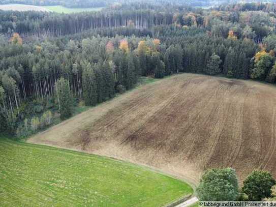 Waldfläche nahe Aichach