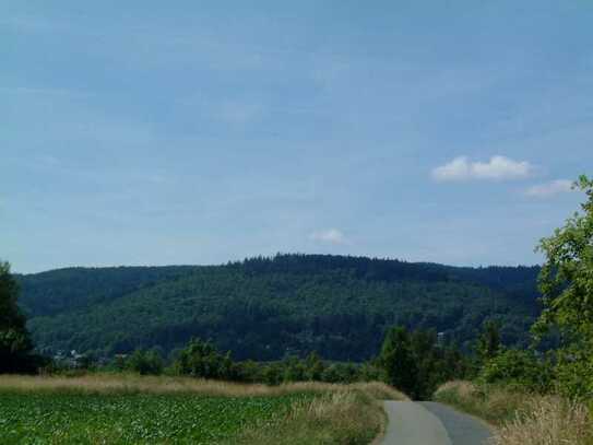 Grundstück f. Wohnen, Gewerbe, Pflegeimmobilie o. touristische Nutzung etc. Bad Harzburg-Bündheim