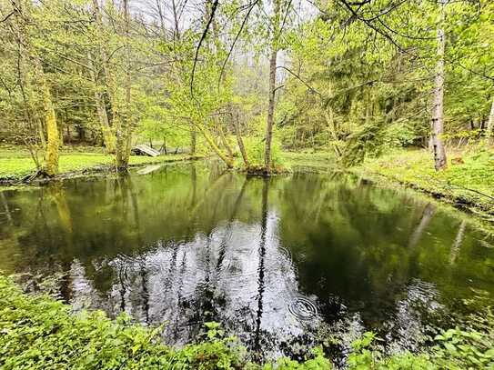 Idyllisches Waldgrundstück mit Fischweiher und Holzhütte