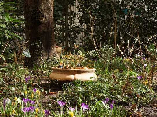 Die einzigartige garten Wohnung, Home office geeignet, Rykestr in Prenzlauer Berg