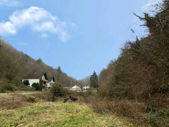 Voll erschlossen - Grundstück in idyllischem Seitental der Mosel gelegen