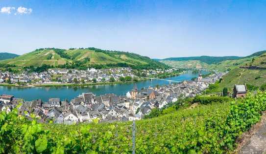 Weinberggrundstück in Zell (Mosel)