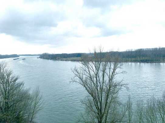 Frisch sanierte Familienwohnung mit Rheinblick