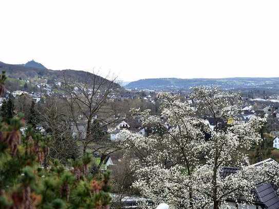 Geschmackvolle , möbl. 4-Raum-DG-Wohnung mit gehobener Innenausstattung mit Balkon und EBK in Bonn