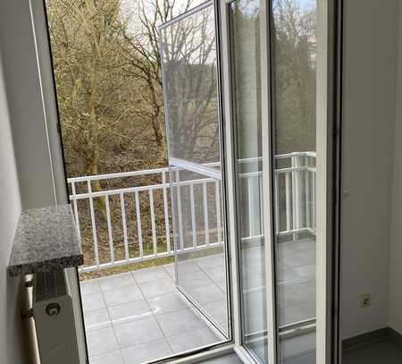 Sonniges, ruhiges 1,5 Zimmer-Appartement mit Süd-Balkon, gehobener Innenausstattung und Stellplatz