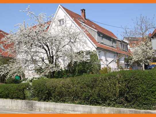Großes Ein- oder Zweifamilienhaus / Wohnen und Arbeiten / Generationenwohnen (Preis verhandelbar)
