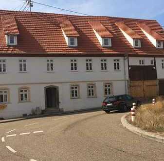 Große 2019 Kernsanierte 3,5 Zimmer Wohnung in Meimsheim!