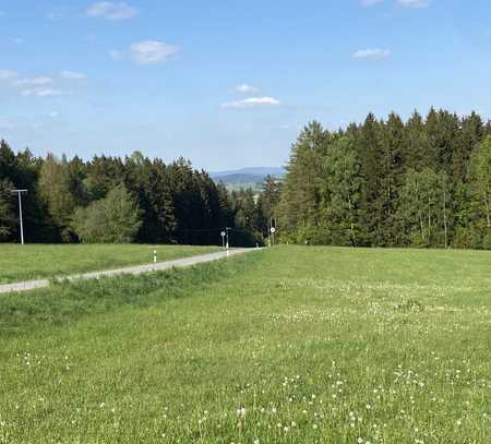 Sensationeller Kleinod am Waldrand mit Weitblick zu verkaufen