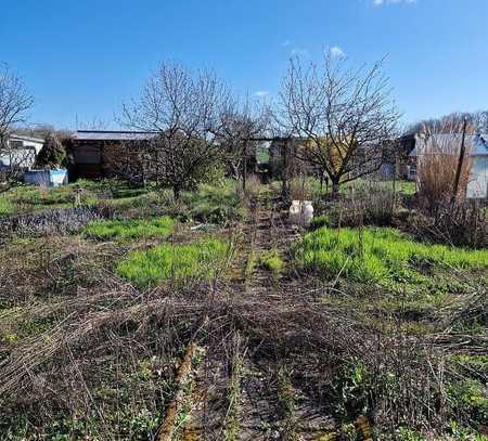 Gartengrundstück in Nicktitz