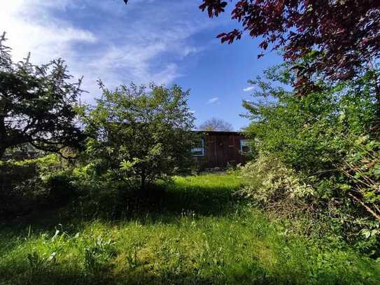 Baugrundstück mit Gartenlaube in Syrau!