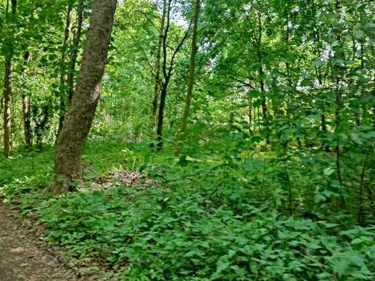 Waldgrundstück bei Bernau, Nachbarbebauung Freizeit & Wohnhäuser