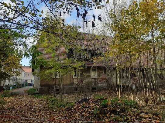 Historisches Herrenhaus mit drei Seitengebäuden möchte aus dem Dornröschenschlaf geweckt werden