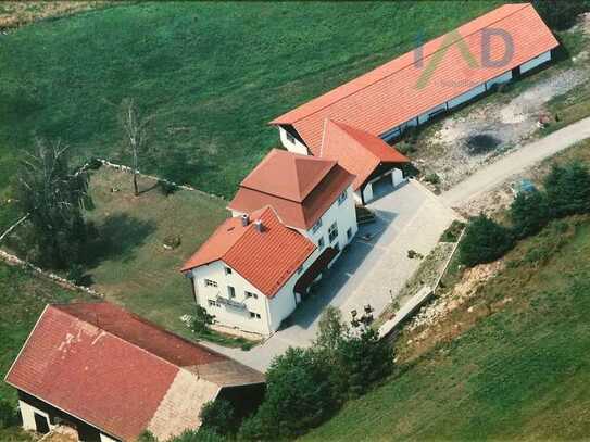 ALTE MÜHLE - WOHNHAUS - BACHLAUF - GROSSES GRUNDSTÜCK -HALLE ---RENOVIERUNG---