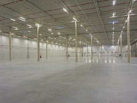 Homberg | 2.500 - 5.000 m² Halle plus Büroflächen | auf 5.500 m² erweiterbar! Modern & super Lage!