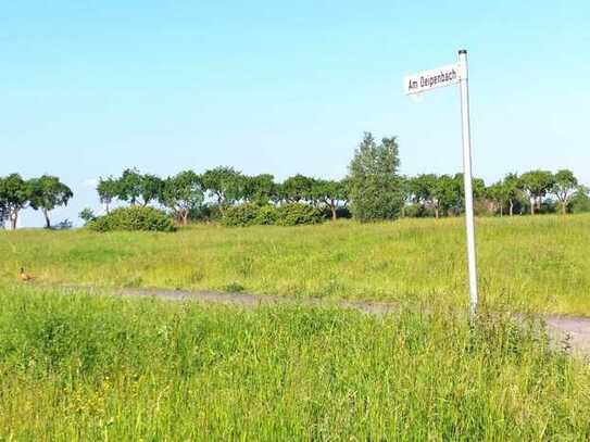 14 Grundstücke in Beckum zu verkaufen!