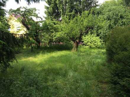 Berlin: Filetgrundstück am S-Kaulsdorf - TF2