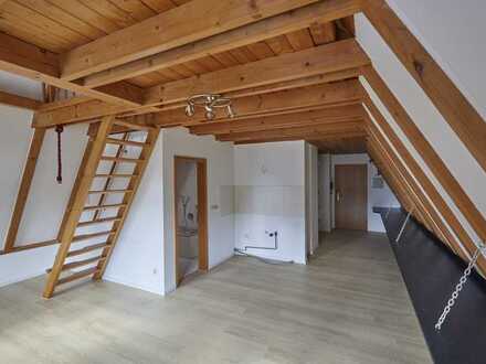 Stilvolle, geräumige und gepflegte 1-Zimmer-DG-Wohnung in Nördlingen