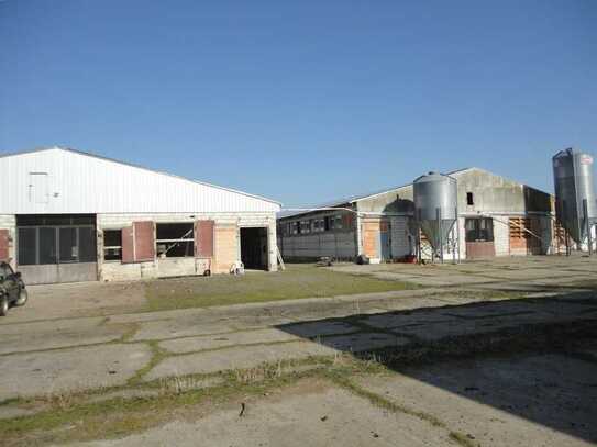 2 große Hallen (ehemals Entenmastanlage) auf 9000m² Grundstück