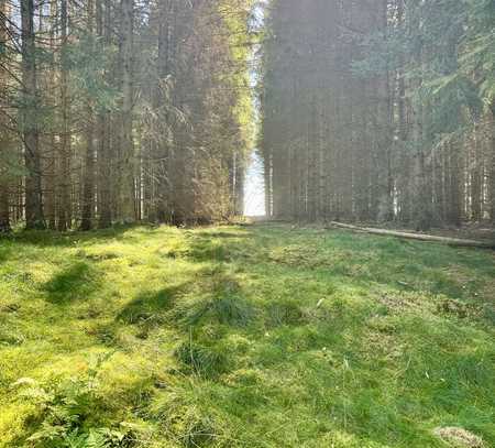 Ihr Platz zum Wohlfühlen ! Baugrundstücke in Klein Germersleben