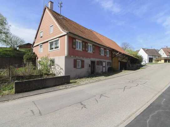 Handwerker aufgepasst - Bauernhaus mit Stall, Scheune und viel Ausbaupotential in Bergfelden