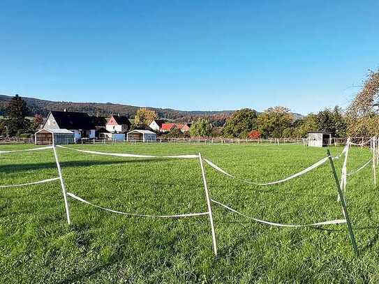 Vertragsfreies Baugrundstück in idyllischer Lage