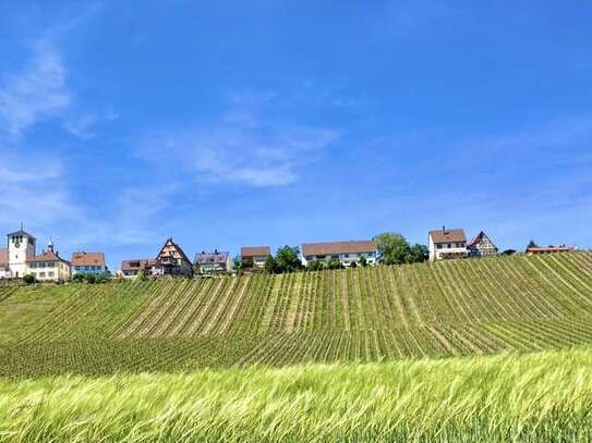 Möblierte Komfortwohnung auf Zeit in Sachsenheim-Hohenhaslach