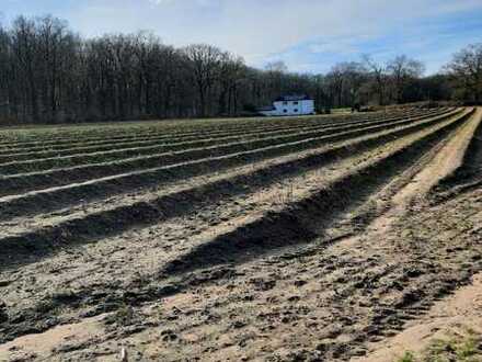 IMMOKONZEPT-NIEDERRHEIN: Ackerfläche am Loheider See mit Gerätehaus usw........