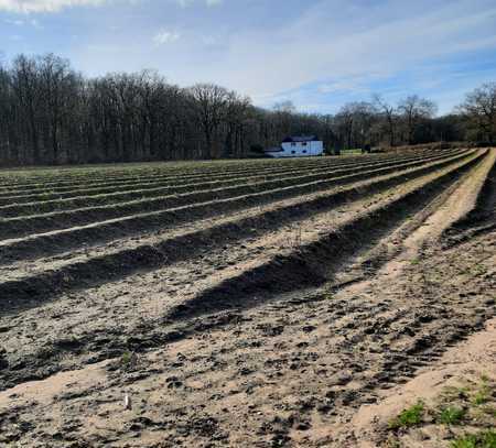 IMMOKONZEPT-NIEDERRHEIN: Ackerfläche am Loheider See mit Gerätehaus usw........