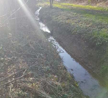 Beste Lage, letzte Baulücke, Grudstück am Bachlauf gelegen!