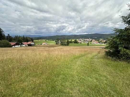 Baugrundstück im bayerischen Wald Gemeinde Hinterschmiding/Herzogsreut