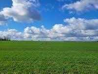 Sehr gute Landwirtschaftliche Flächen bei Kalbe (Milde) in Sachsen-Anhalt zu verkaufen