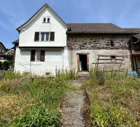 Baugrundstück in Lörrach/Hauingen