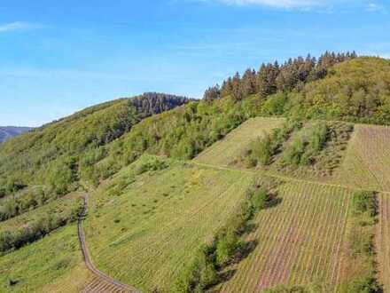 SOMMER-AUKTION 2023: Grundstück an der Mosel